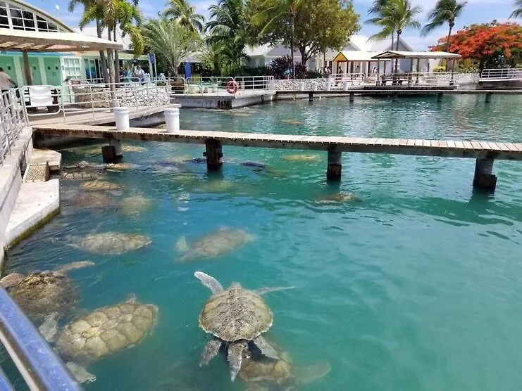 Ocean Feel @ Fruitfulville West Bay 0*,  Cayman Islands